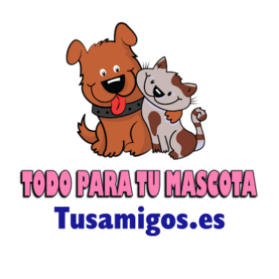 [IMAGEN DEL SORTEO]