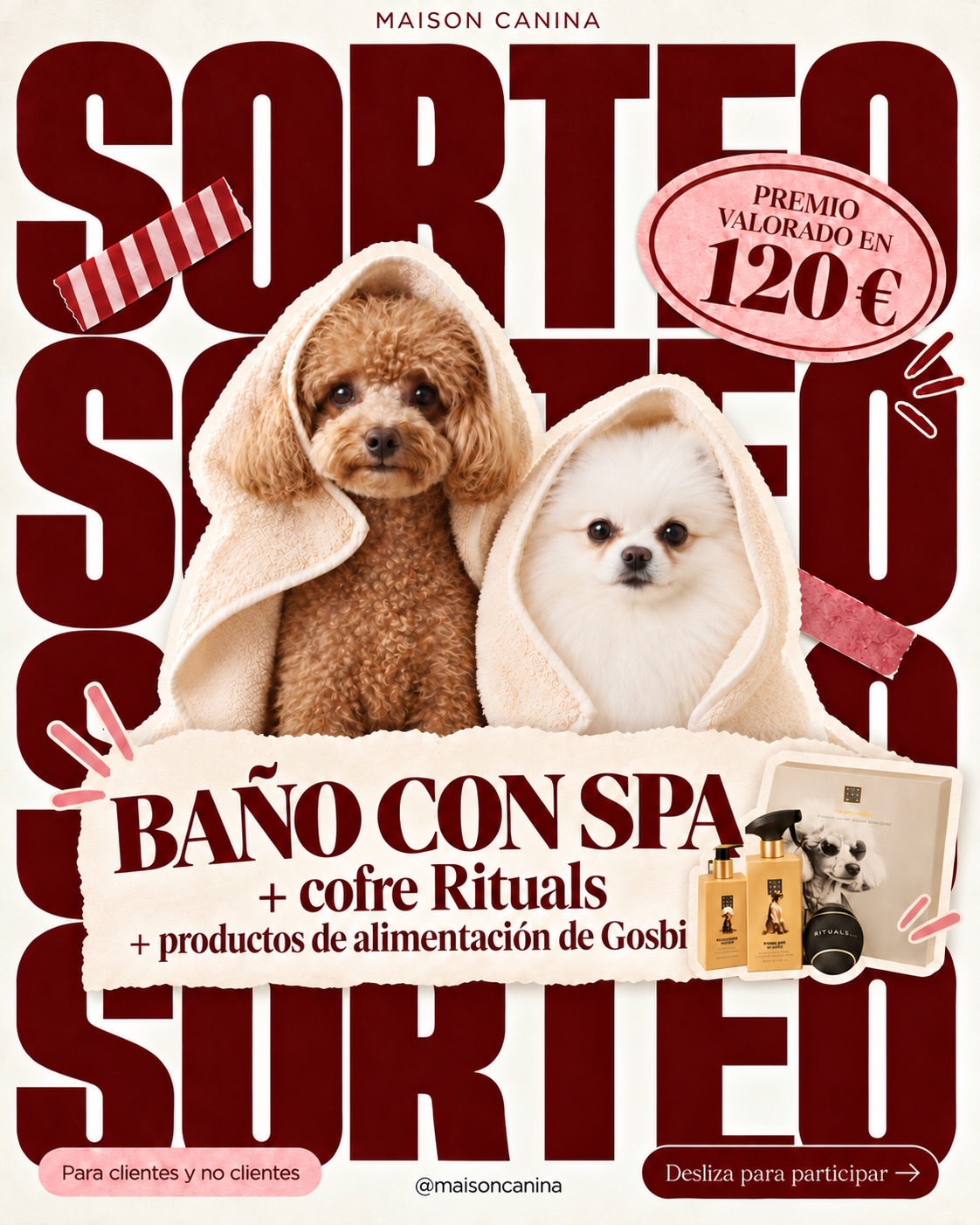 Imagen de 🛁🐾 ¡SORTEAMOS UNA SESIÓN DE BAÑO CON SPA Y UN PACK 
