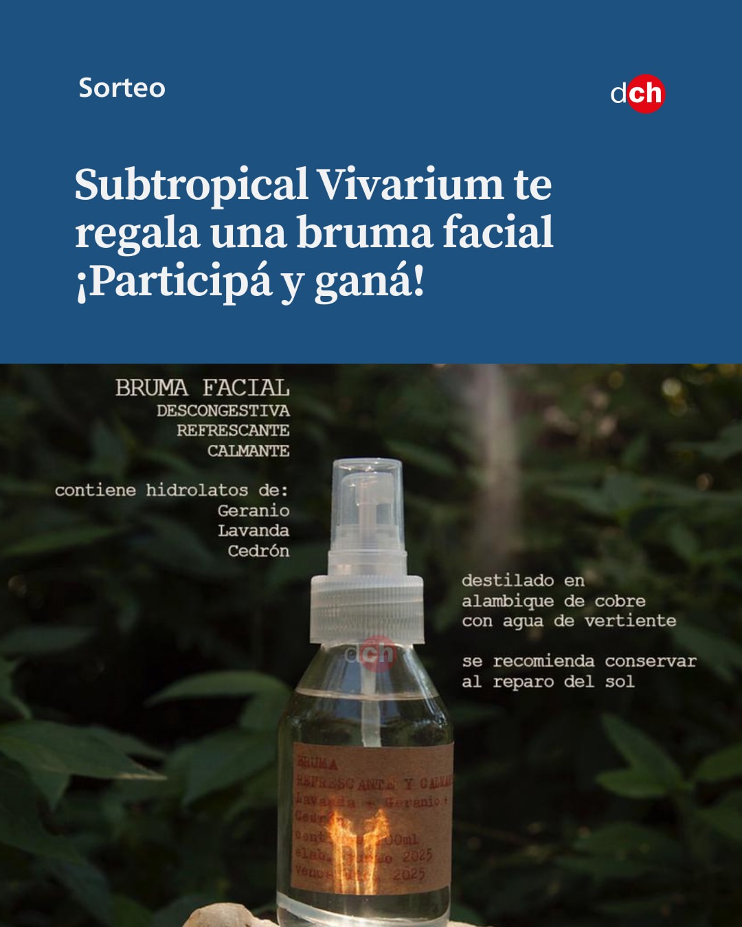Imagen de Sorteo 🌿

Este jueves, Carla Colombo de @subtropical_viva