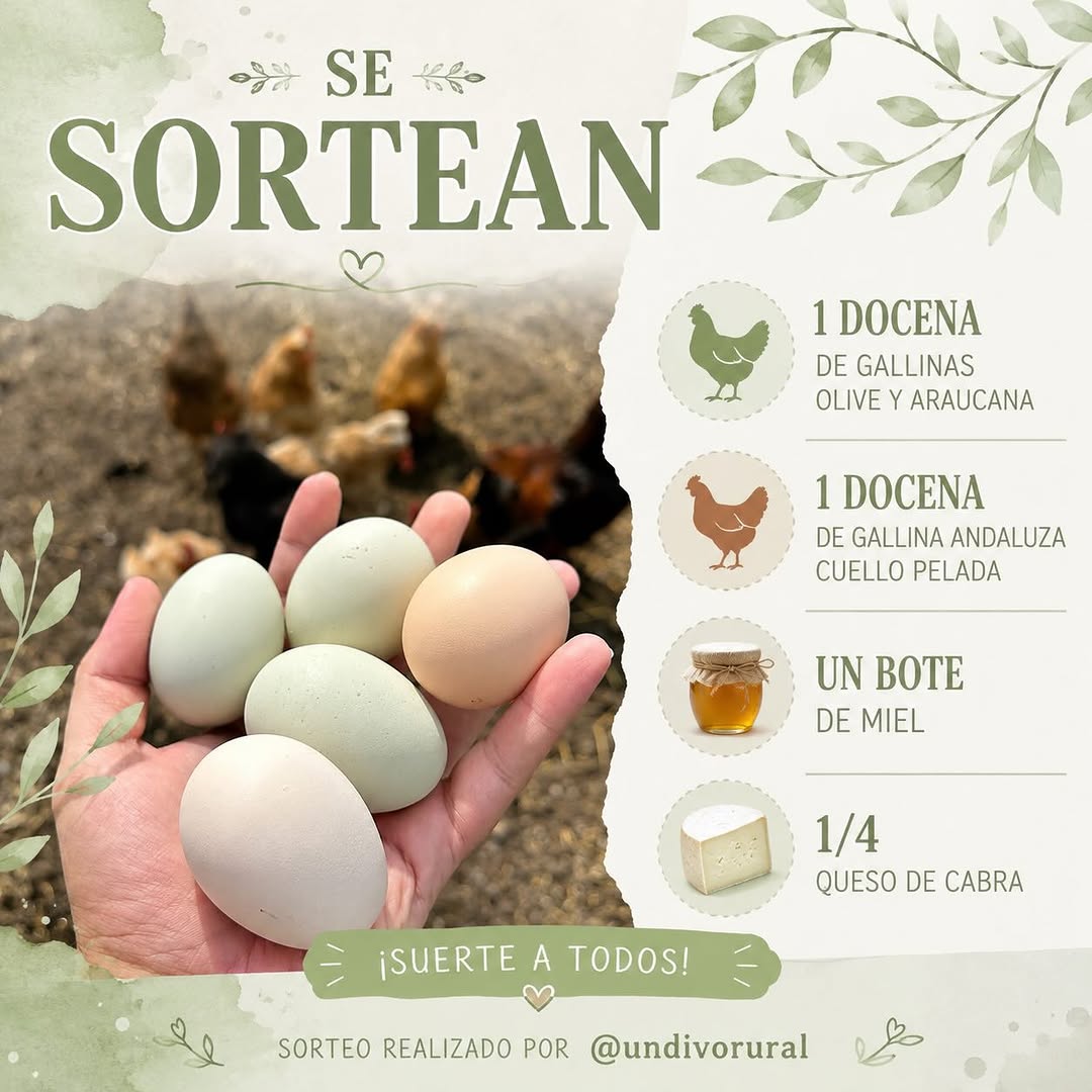 Imagen de 🎉 ¡SORTEAZO RURAL! 

Se sortean:
🥚 1 docena de huevos