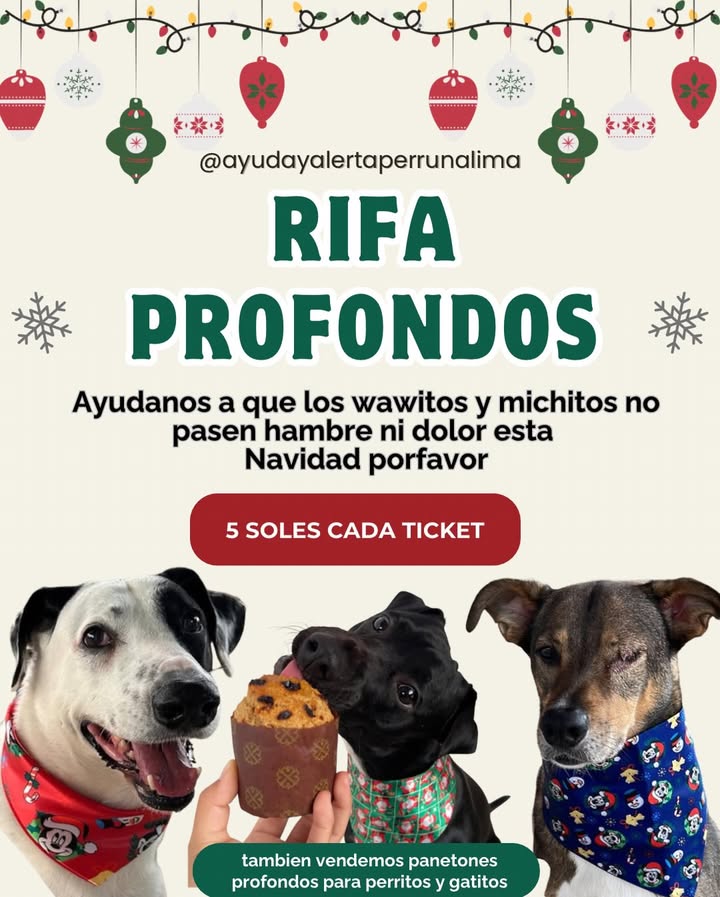 Imagen de RIFA NAVIDEÑA PROFONDOS 2025 ❤️‍🩹🐶😸

Nos ayu