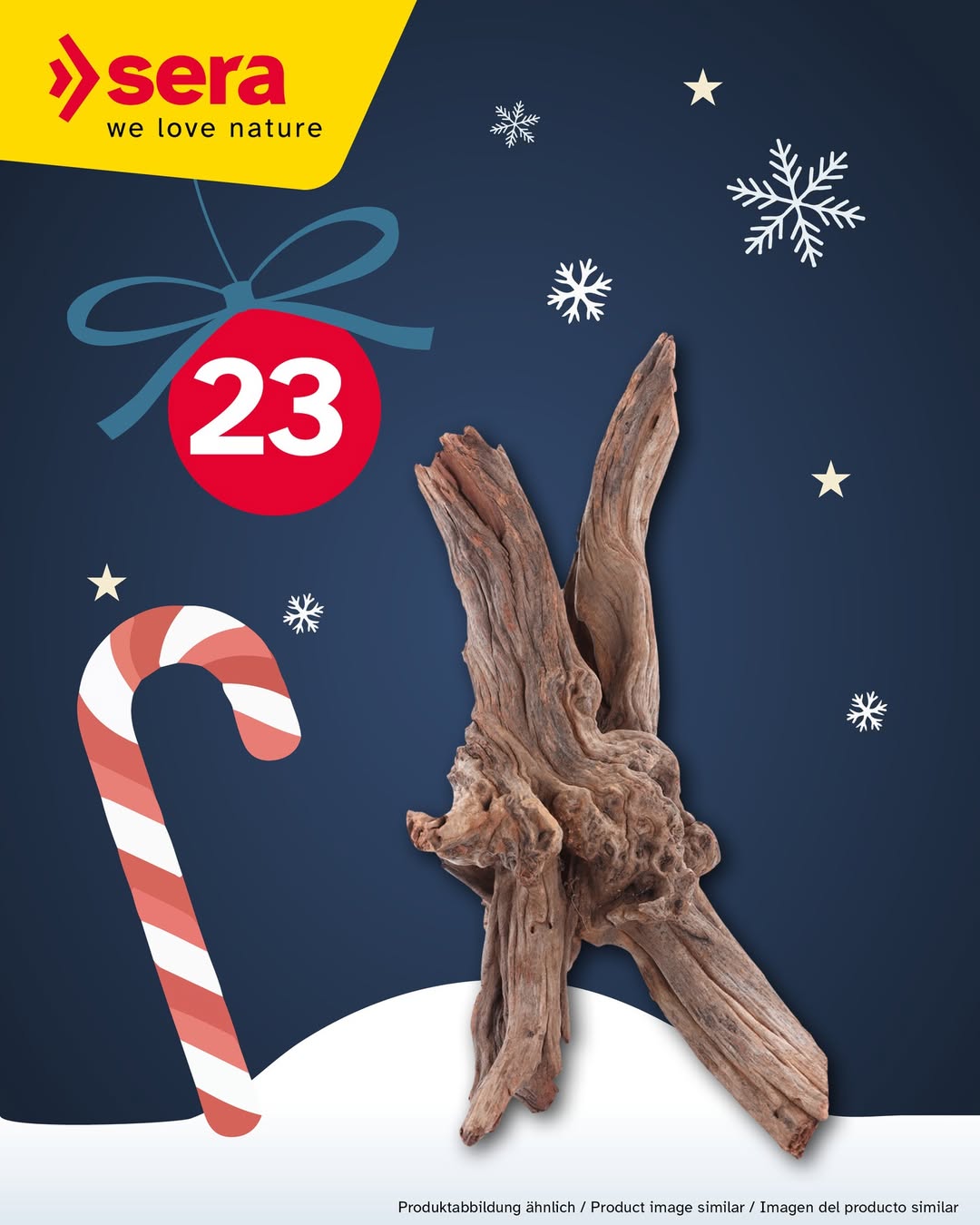 Imagen de 🎄✨ Sorteo de Adviento – Puerta 23 ✨🎄

Hoy abrimo