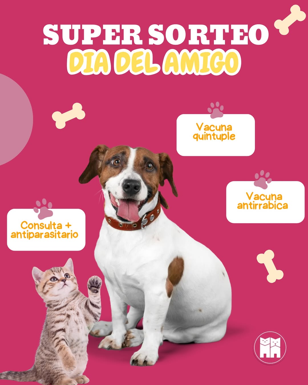 Imagen de 🎉🐶 ¡SUPER SORTEO DÍA DEL AMIGO! 🐱🎉

Porque ell