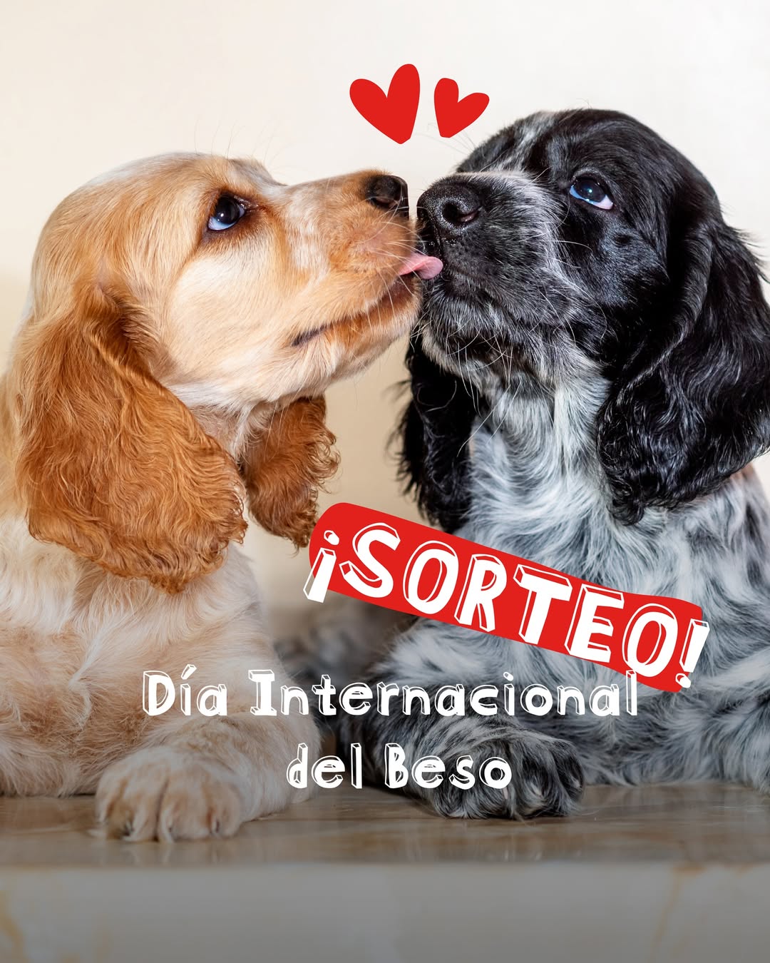 Imagen de **💋** SORTEO para esos peludos besucones. 

Sabemos que h