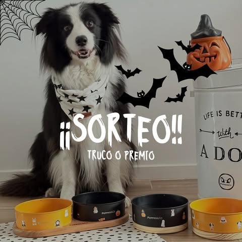 Imagen de ESPELUZNANTE SORTEOOO!!!! 🎃👻💀🎃🎃👻
Queremos 