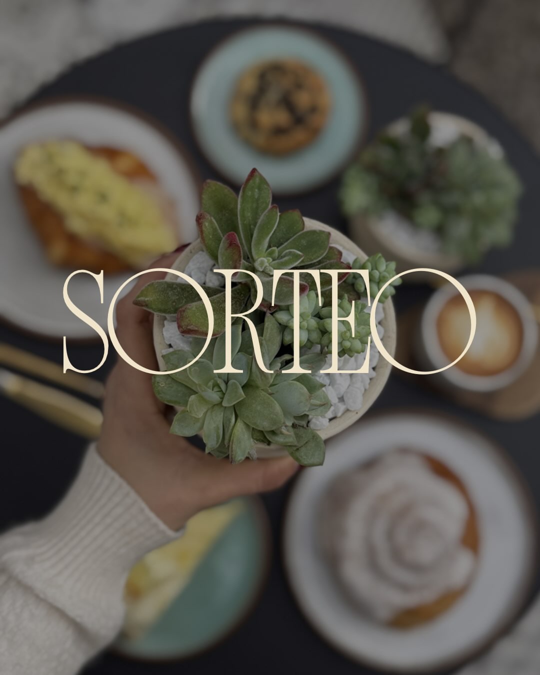 Imagen de 🤍 EN VERT CELEBRAMOS EL DÍA DE LA AMISTAD 🤍
¡Y lo fe