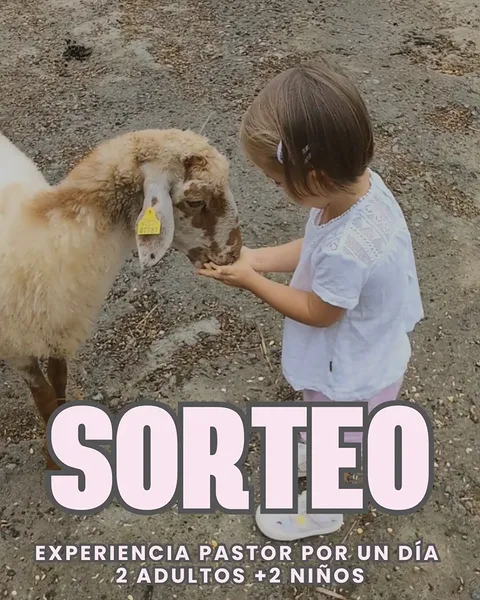 Imagen de 🐑 ¡SORTEAZO FAMILIAR! Pastor por un día 🌾

¿Os apet