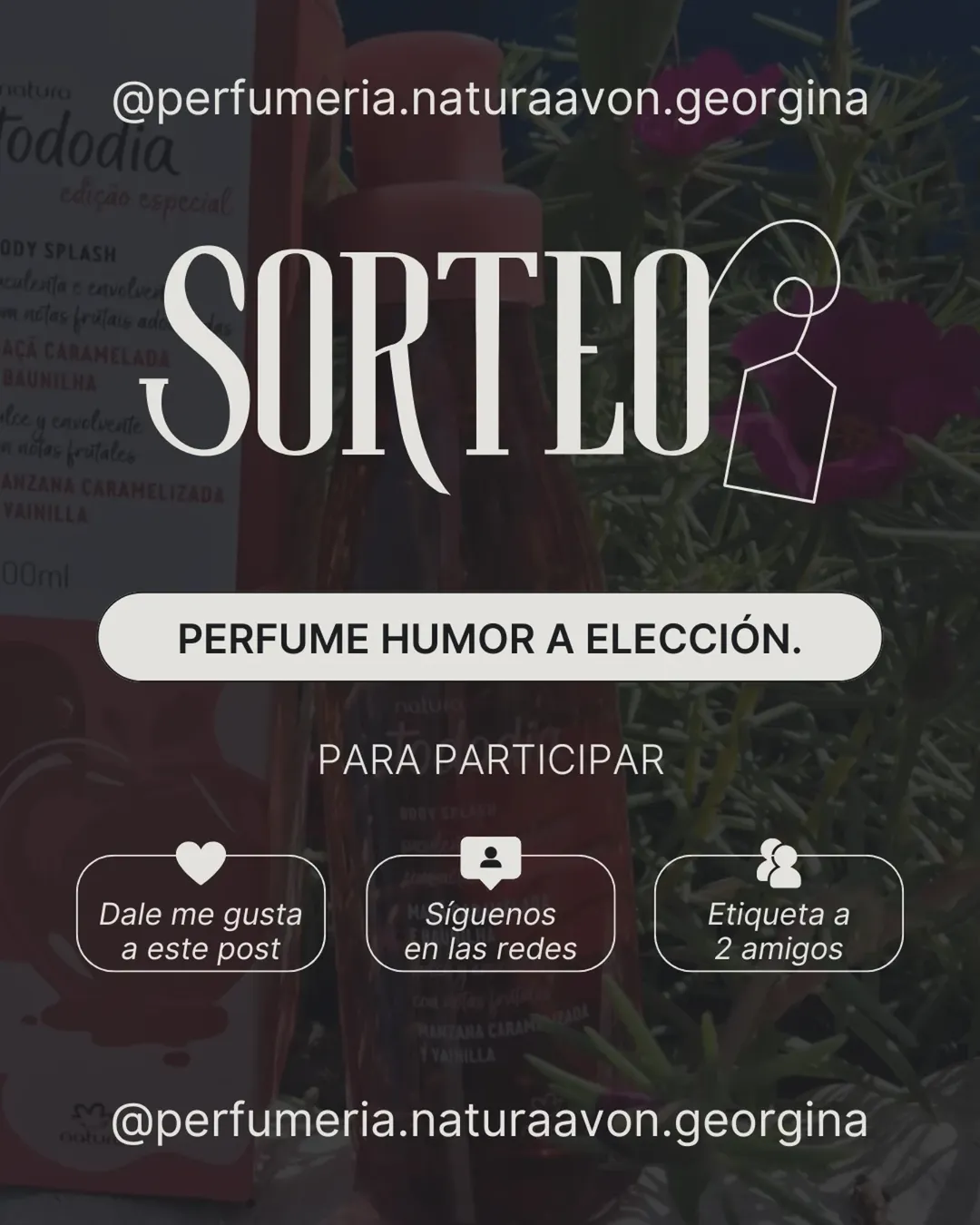 Imagen de 💫SORTEO💫

●PREMIO●
PERFUME HUMOR A ELECCIÓN F/M

