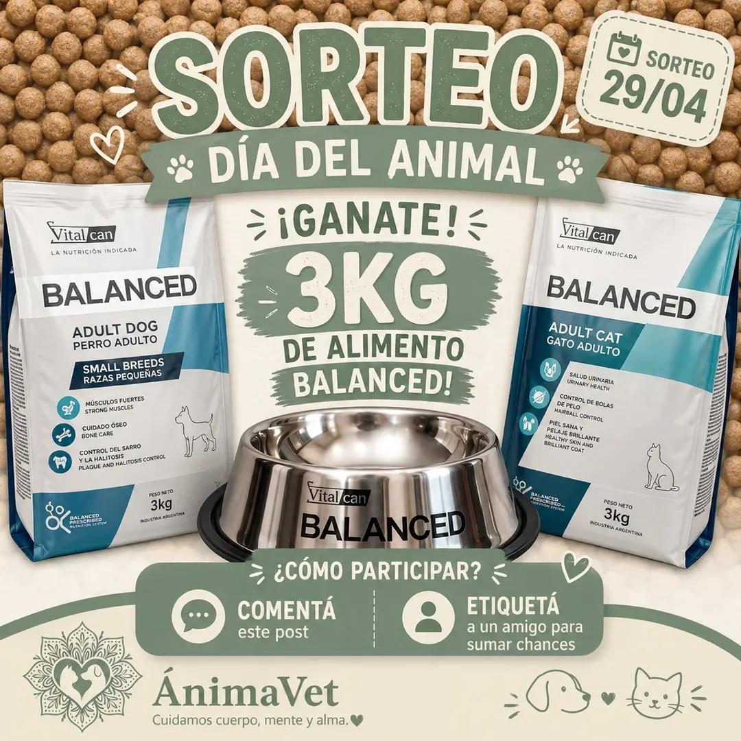 Imagen de 🐾 SORTEO DÍA DEL ANIMAL

Ellos nos dan amor todos los d�
