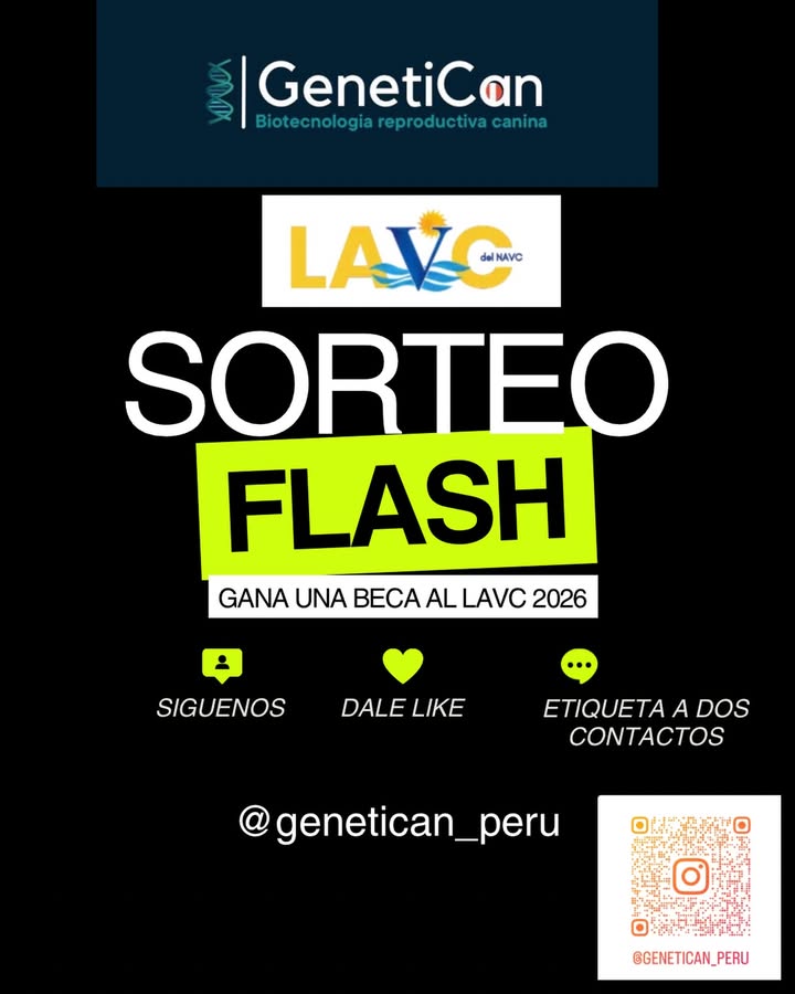 Imagen de SORTEO FLASH!! Quieres ganarte una BECA para el LAVC 2026, s