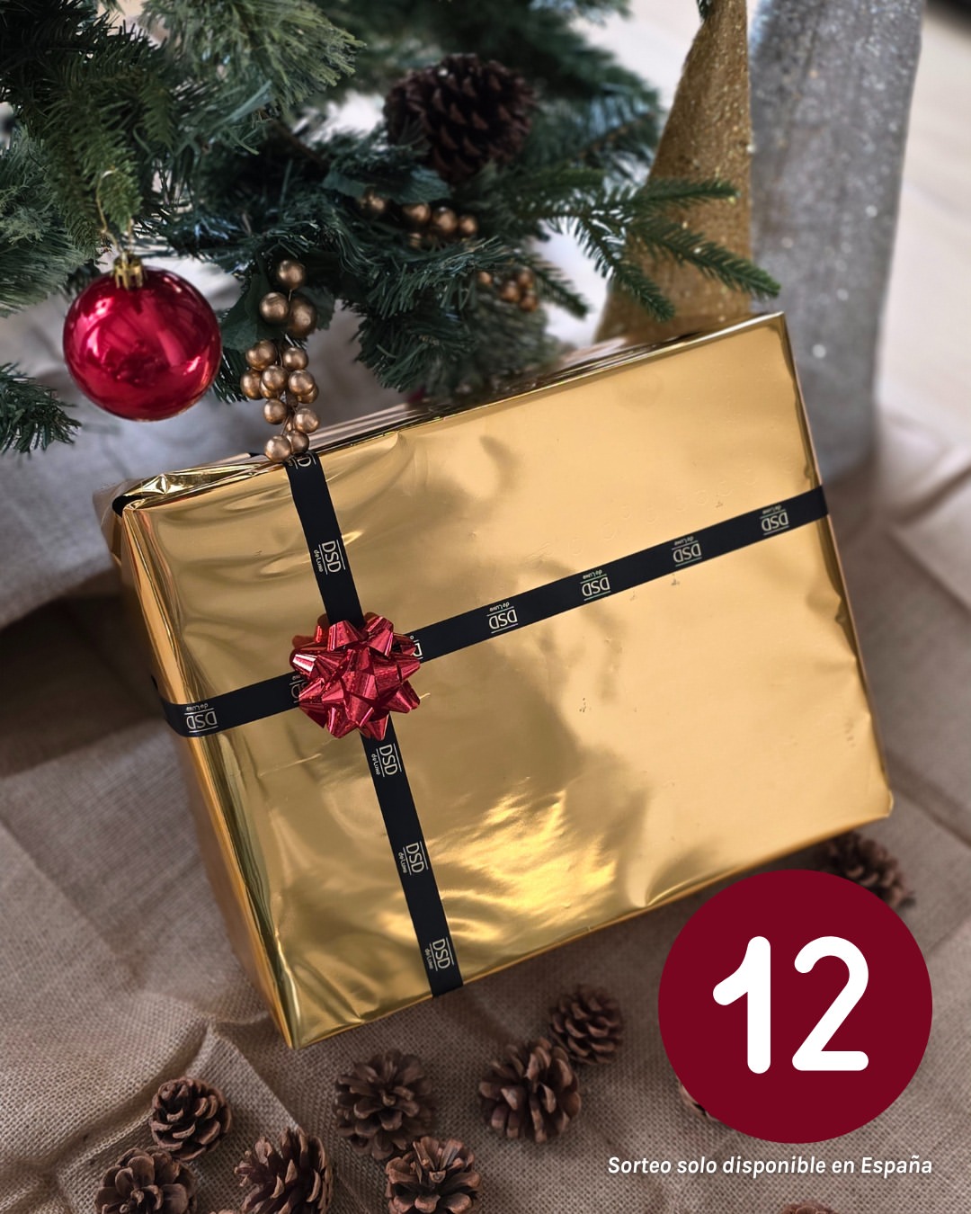 Imagen de 🎁 ¡SORTEO CALENDARIO DE ADVIENTO – DÍA 12! 🎄✨

H