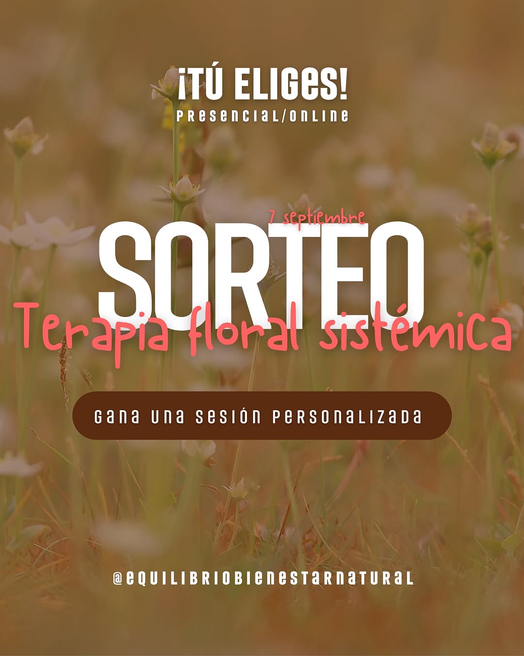 Imagen de ✨ SORTEO ESPECIAL: CONECTA CON TU ESENCIA ✨
¿Sientes qu