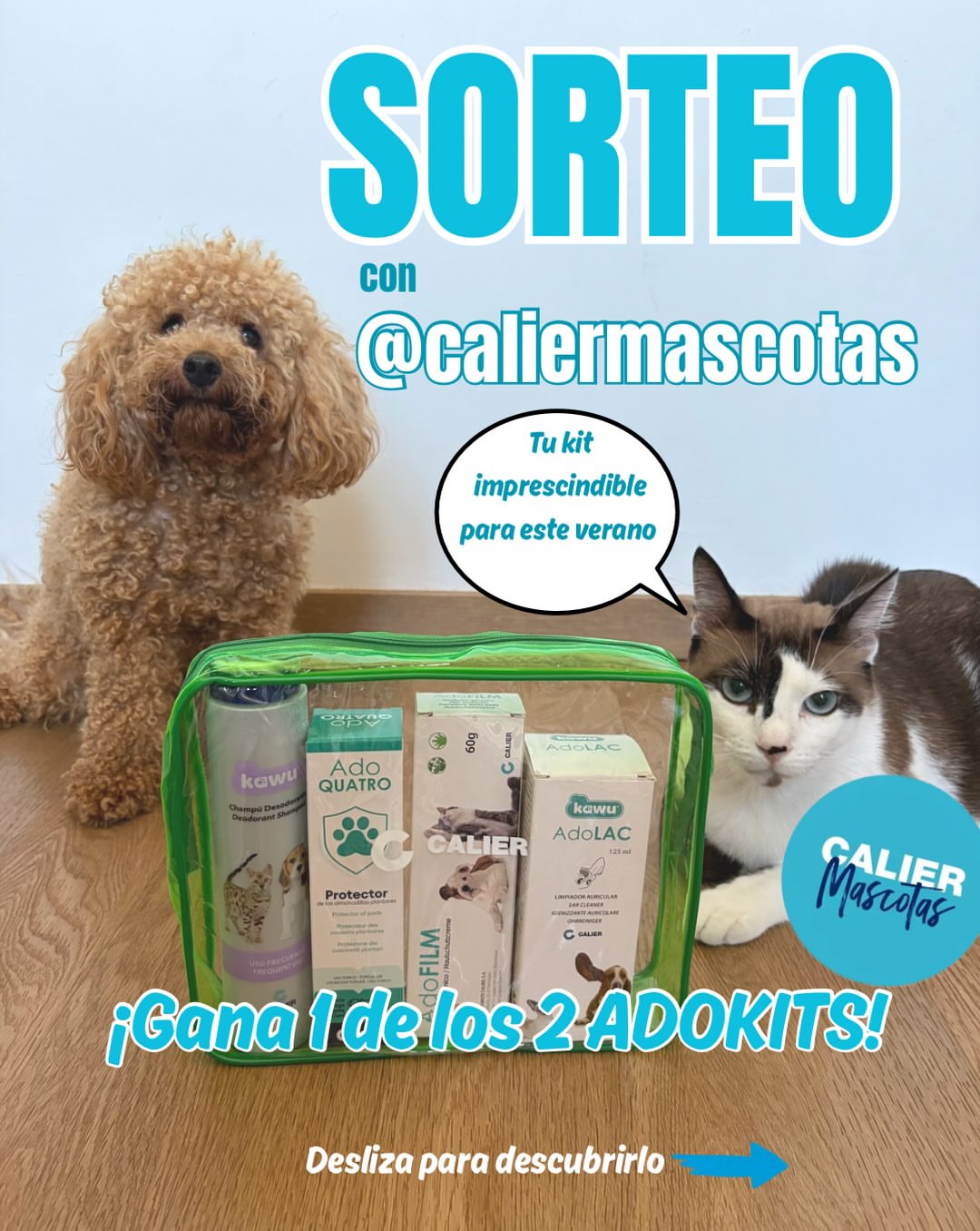Imagen de SORTEO EXPRESS con @caliermascotas 2 ganadores 🐶🐱

Par