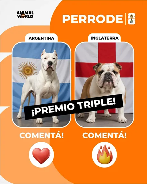 Imagen de 🚨 ¡PAREN LAS ROTATIVAS PORQUE NO AGUANTAMOS MÁS LA MANI