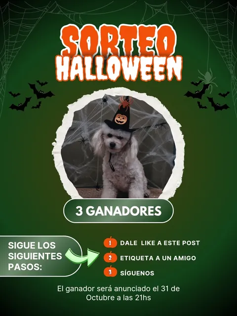 Imagen de 🎃 𝗦𝗢𝗥𝗧𝗘𝗢 𝗛𝗔𝗟𝗟𝗢𝗪𝗘