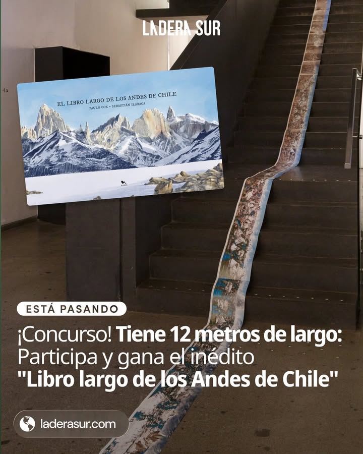 Imagen de #EstáPasando ¡Concurso! Tiene 12 metros de largo: Particip