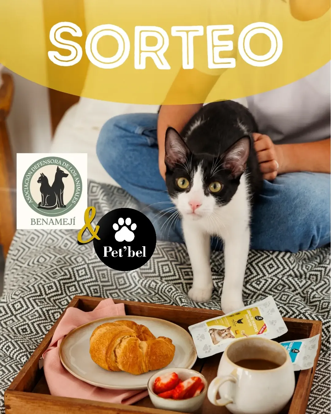Imagen de ✨ 𝗦𝗢𝗥𝗧𝗘𝗢 𝗦𝗢𝗟𝗜𝗗𝗔𝗥�