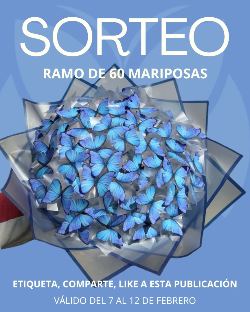 Imagen de ✨ SORTEO ESPECIAL ✨
Gana un ramo de 60 mariposas pers