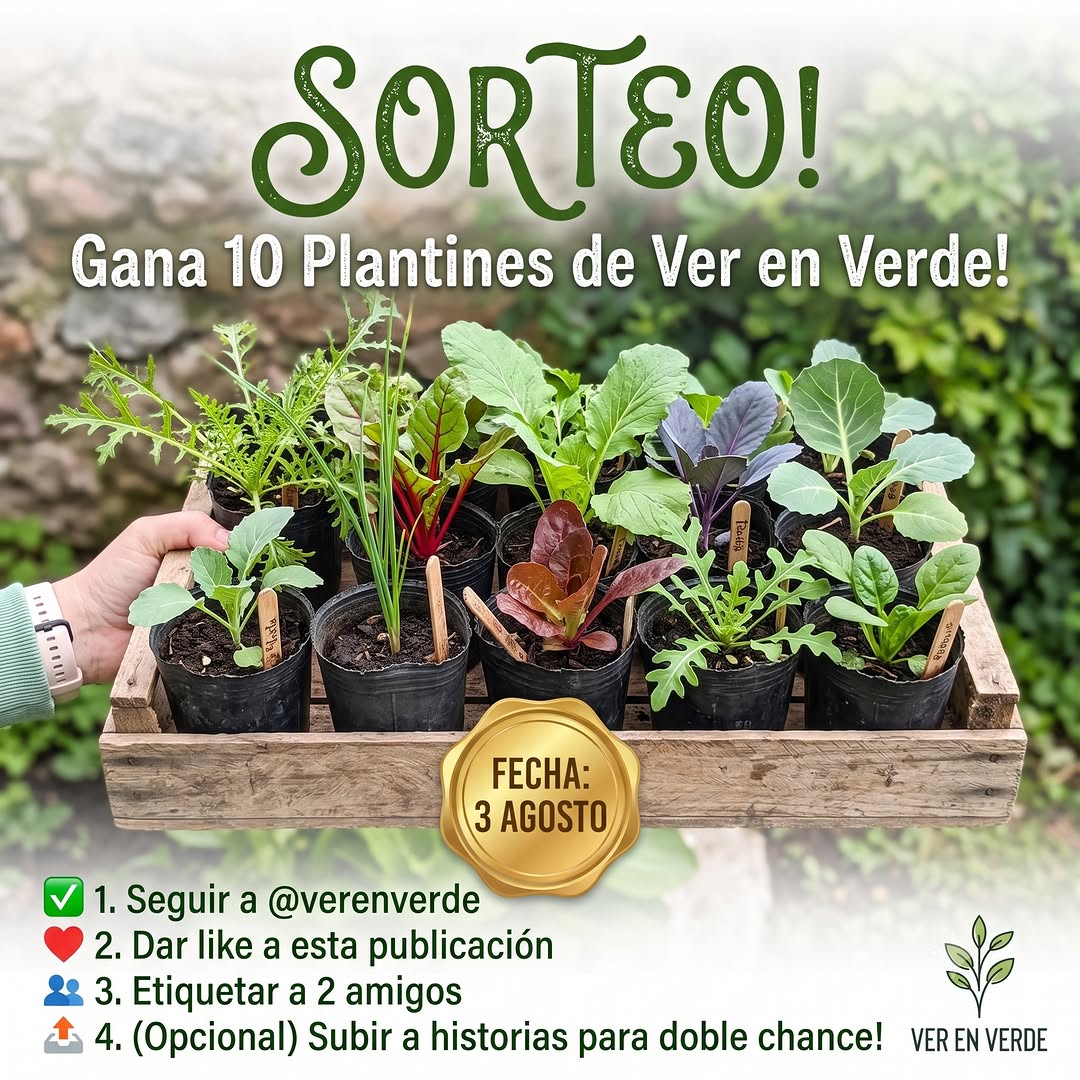 Imagen de 🌿 ¡GRAN SORTEO DE PLANTINES EN VER EN VERDE! 🥬✨
Que