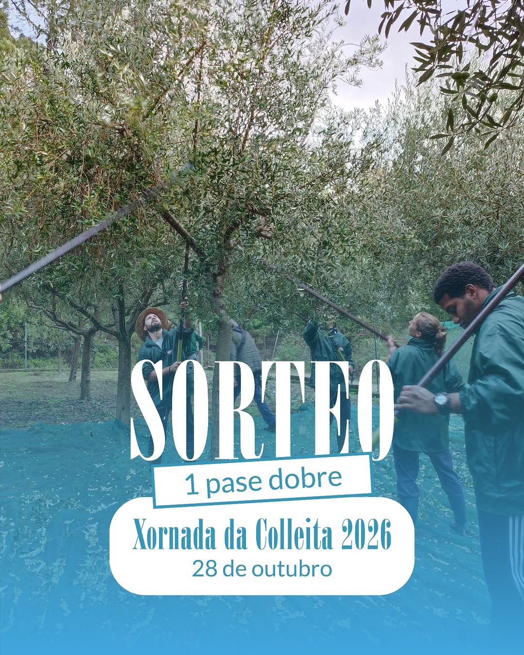 Imagen de Queres acompañarnos na próxima Xornada de Colleita Propia?