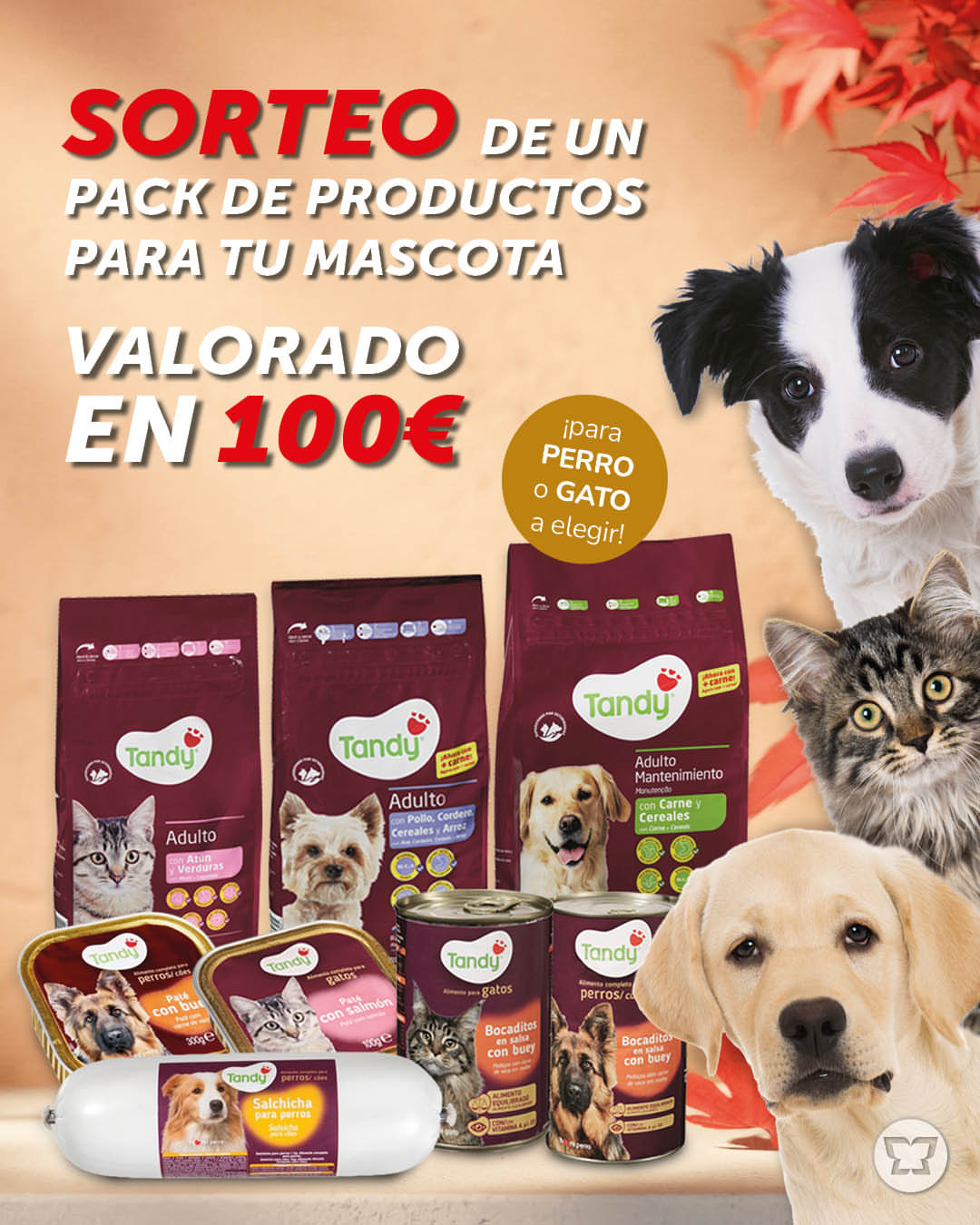 Imagen de ¡Celebra el día de las mascotas con este sorteazo! 🐾�