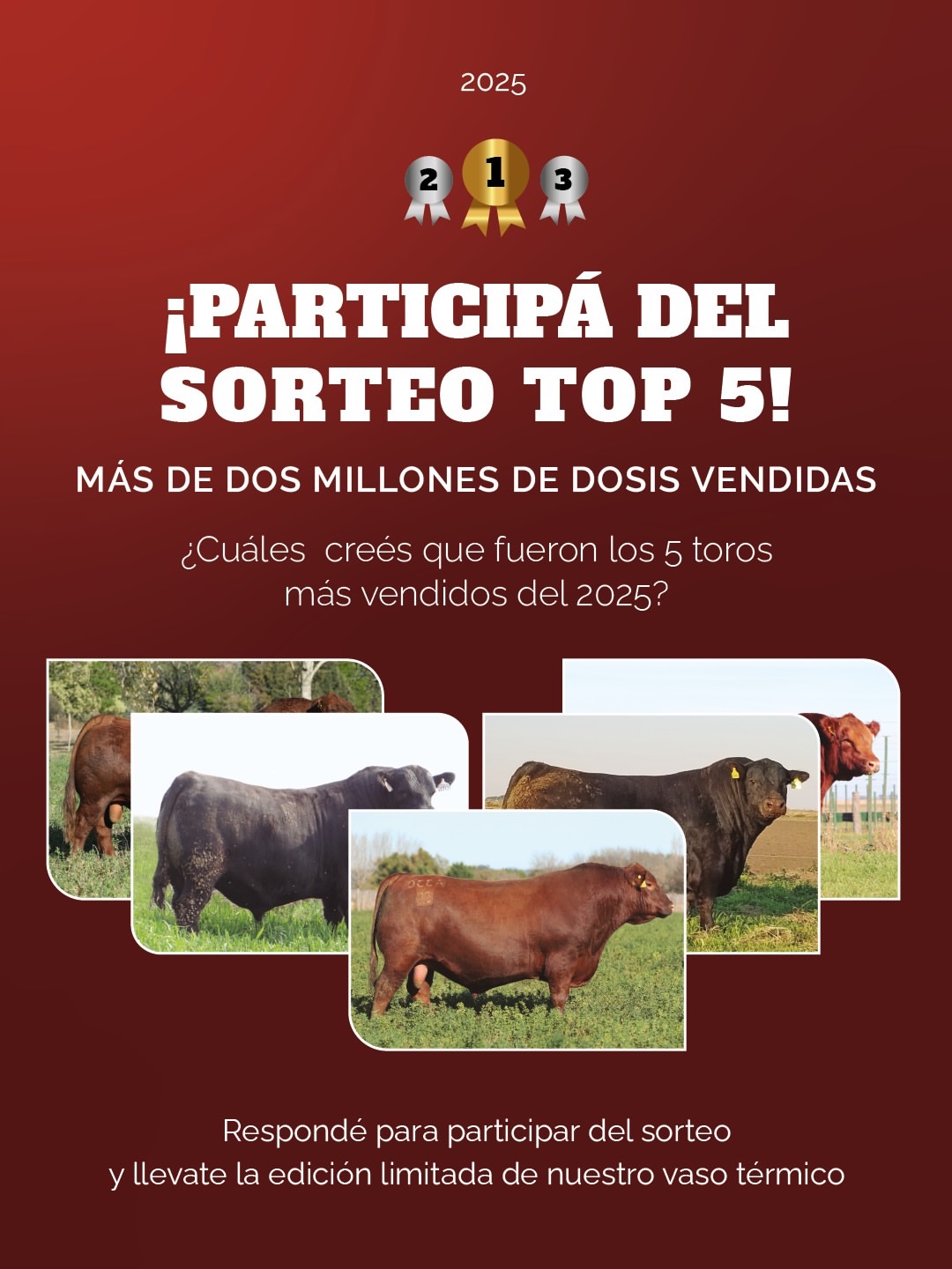 Imagen de ¡SORTEO TOP 5!

¡Participá y ganá la edición limitada d