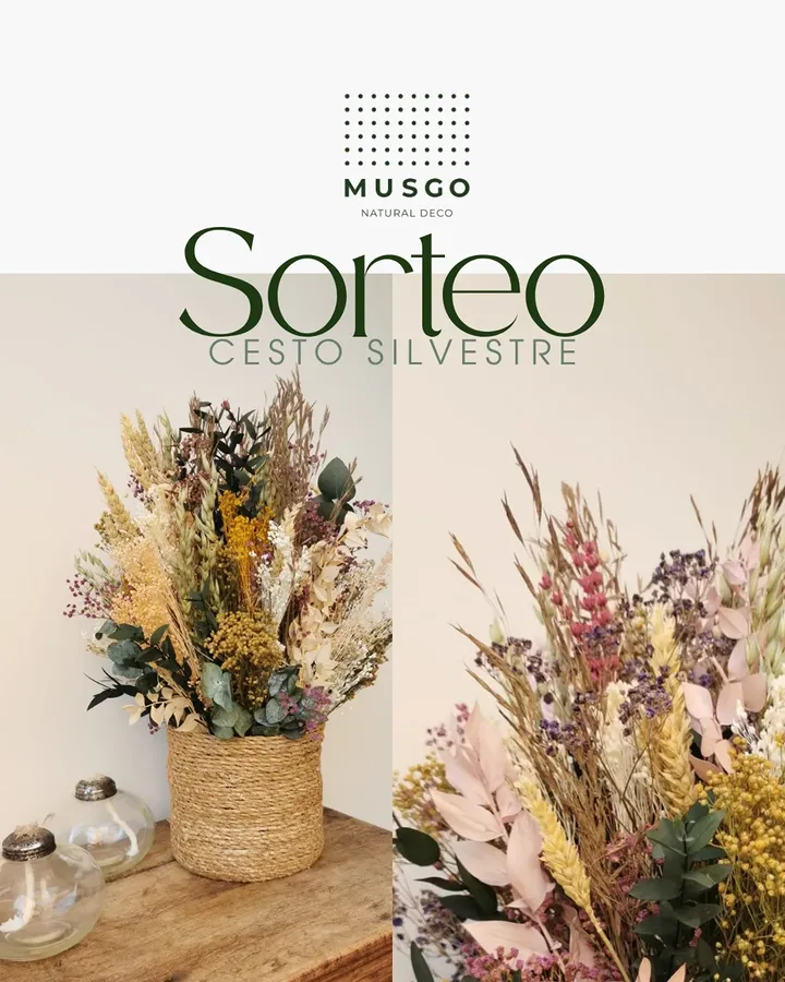 Imagen de SORTEO Cesto silvestre con FLORES Preservadas
 y Secas🌲


