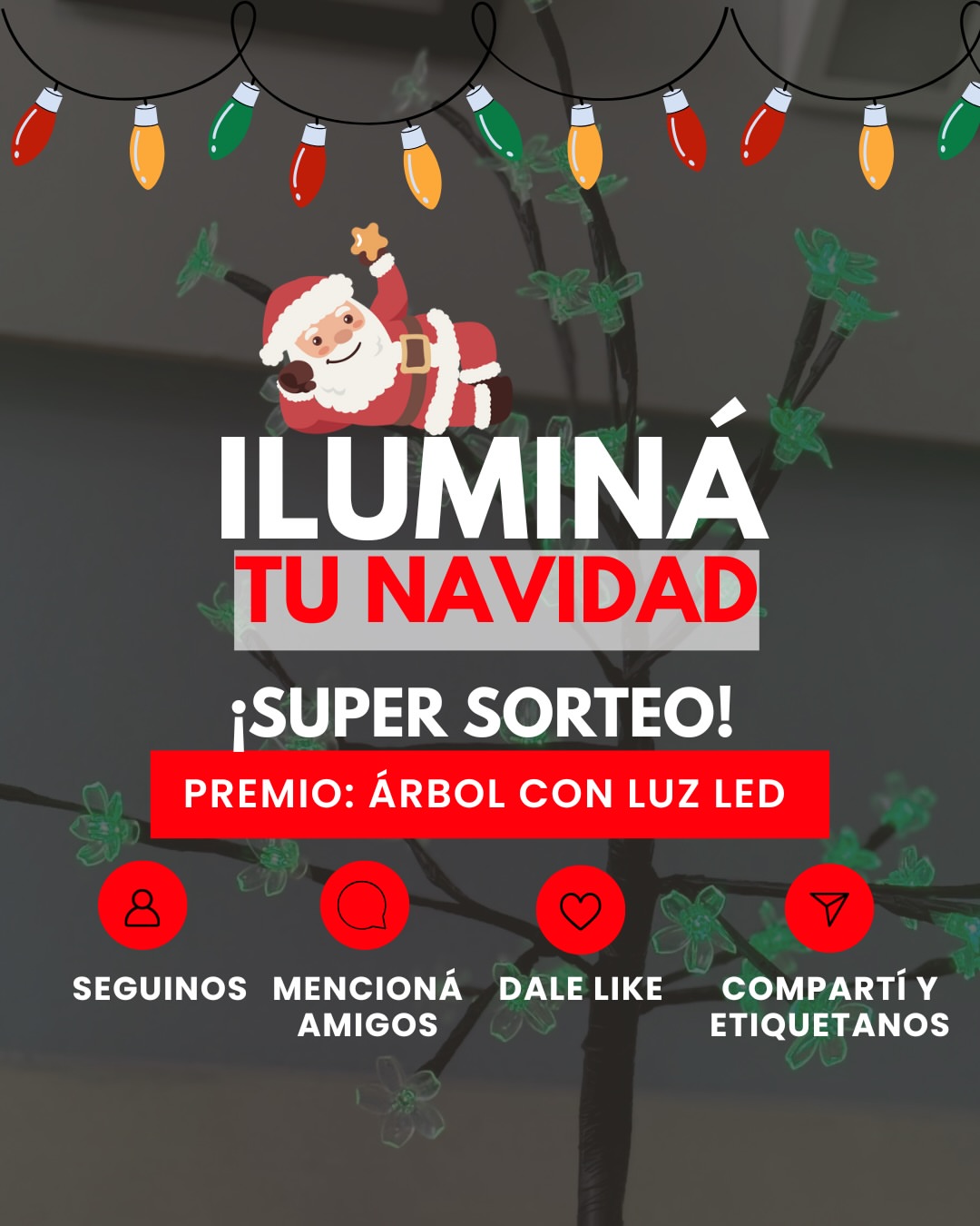 Imagen de ✨ ¡SORTEO NAVIDEÑO! ✨

Queremos iluminar tus fiestas y