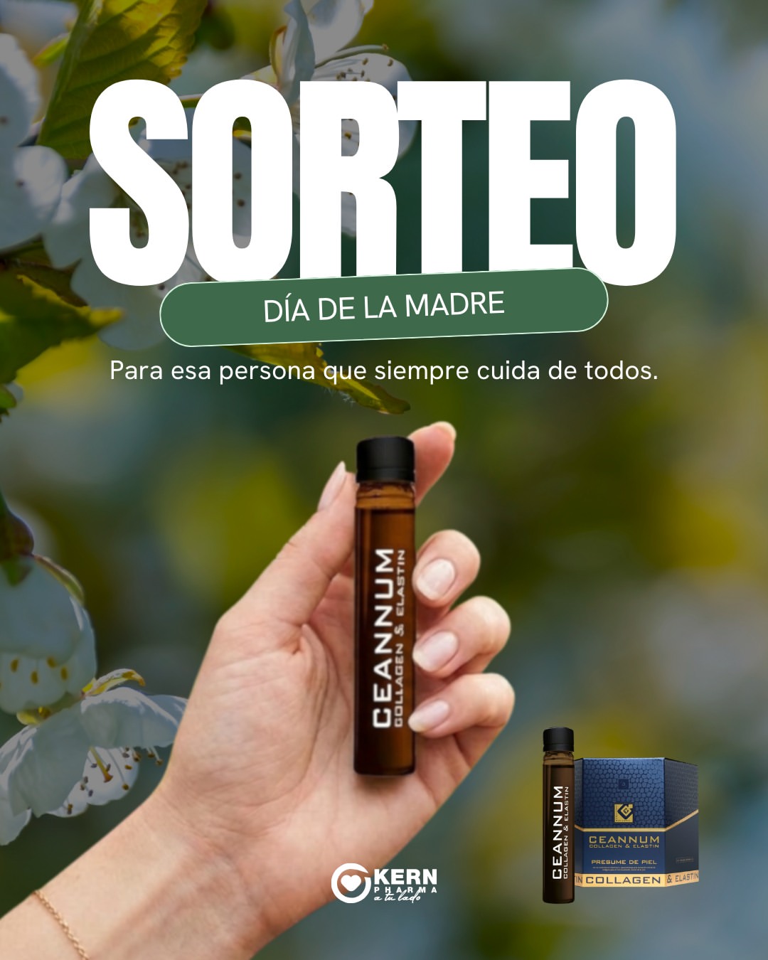 Imagen de 🌸 ¡SORTEO DÍA DE LA MADRE! 🌸

Hay personas que cuida