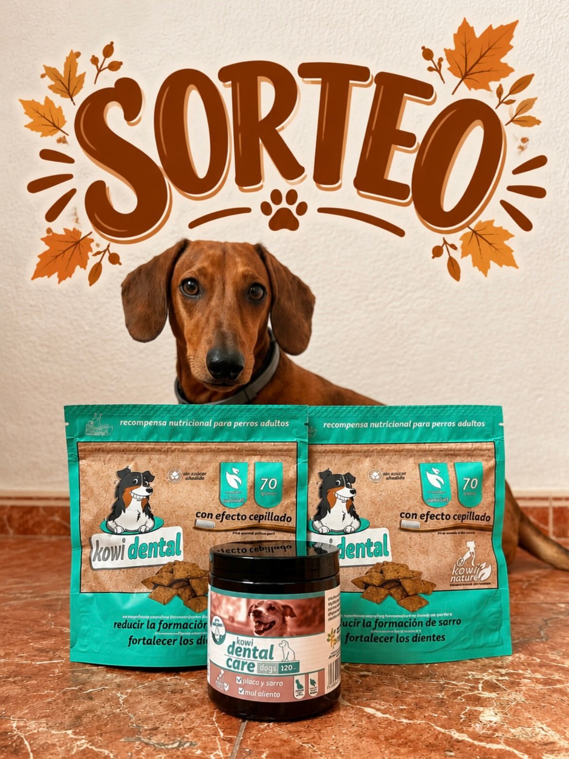 Imagen de ✨¡SORTEO!✨

Hoy os traemos una sorpresa 🤭 UN SORTEO 