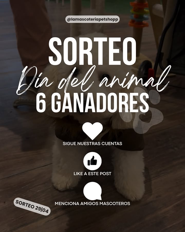 Imagen de 🐾 SORTEO DÍA DEL ANIMAL 🐾

¡Se vienen 6 GANADORES �