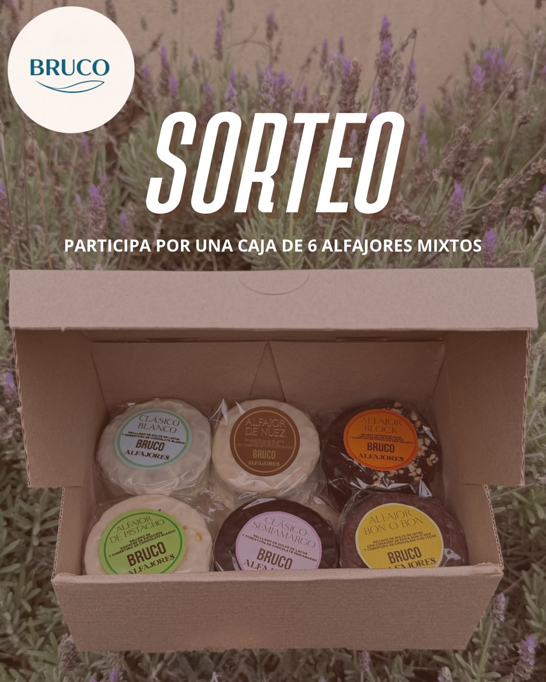Imagen de ⚡️ SORTEO BRUCO ⚡️

Porque la vida es mejor con alfa