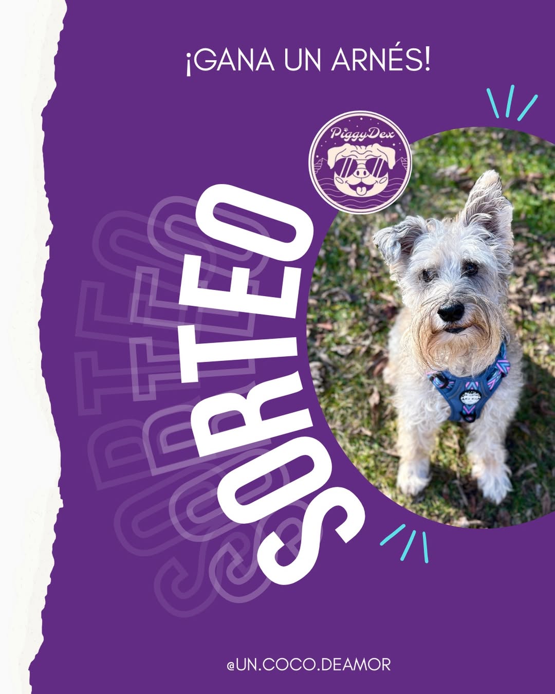 Imagen de 🎉🐾 ¡SORTEO DE CUMPLEAÑOS! 🐾🎉

Hoy es mi cumple