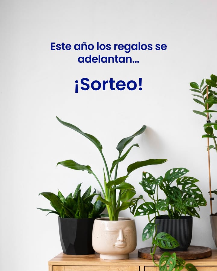 Imagen de Estas fiestas, llena tu hogar de vida: sorteamos una tarjeta