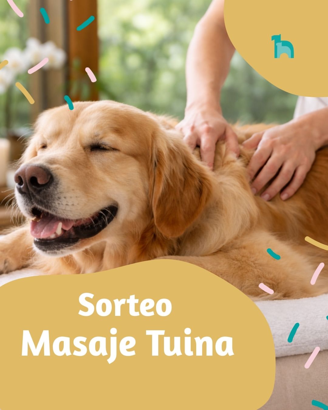 Imagen de 🎉✨¡SORTEO MASAJE TUINA para tu pelud@! ✨🎉

SORTEO