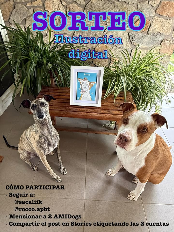 Imagen de 🎉 SORTEO - ILUSTRACIÓN DIGITAL 🎉

Junto a @sacaliik o