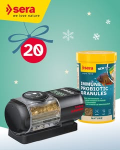 Imagen de 🎄✨ Sorteo de Adviento – Puerta 20 ✨🎄

¡El 20 de