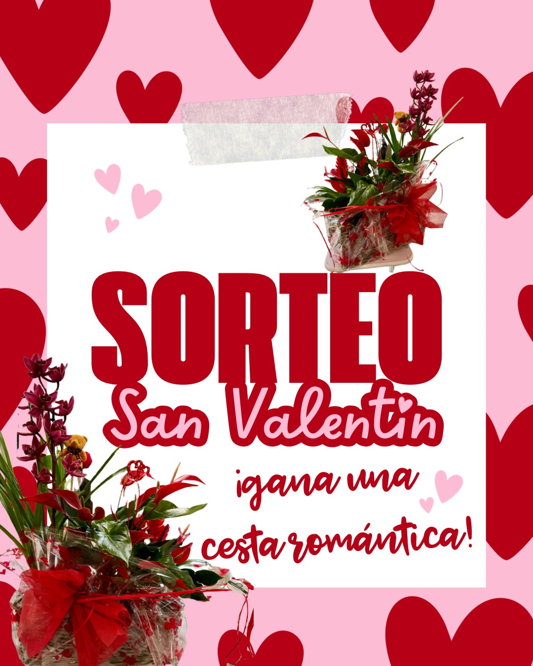 Imagen de 🌹✨ SORTEO ESPECIAL SAN VALENTÍN ✨🌹

Celebramos el