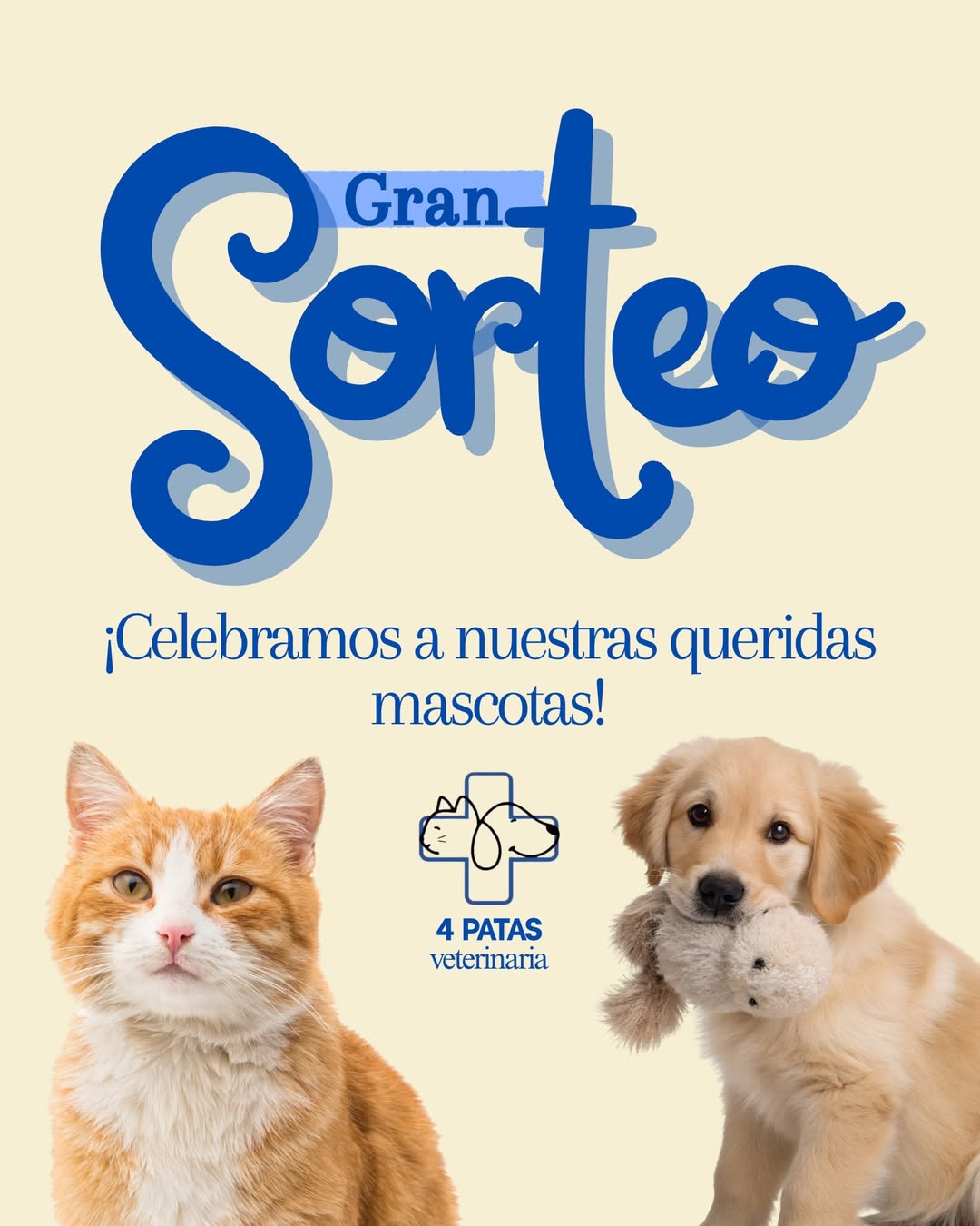 Imagen de 🎉 GRAN SORTEO 4 PATAS 🐾

Porque ellos también merecen