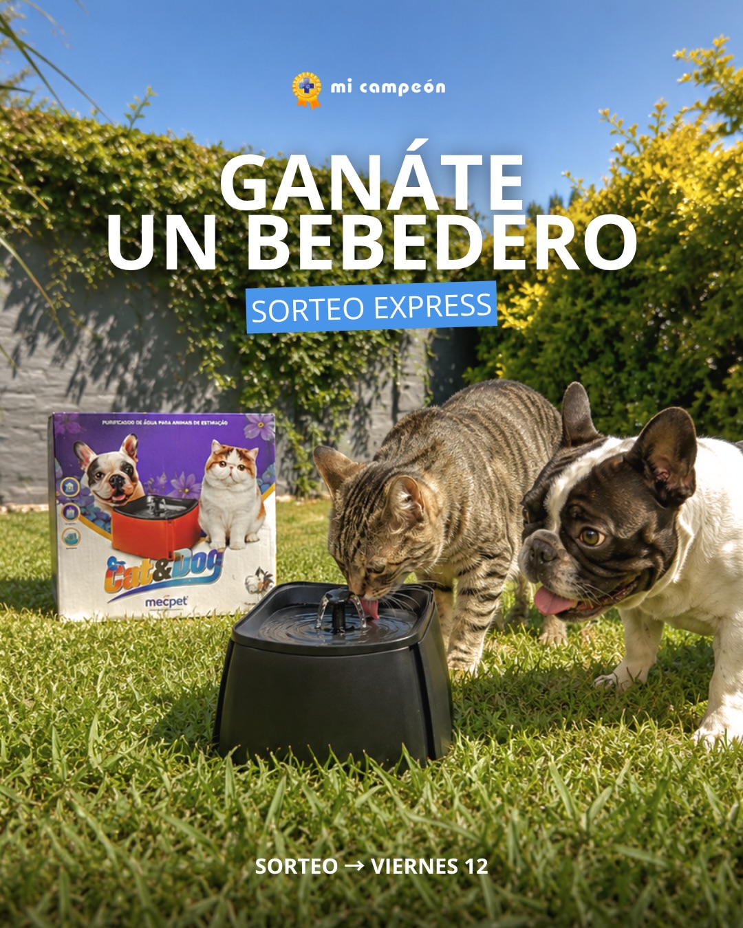 Imagen de SORTEO EXPRESS! 🐾🚰

¿Tu compañero toma poca agua? Es