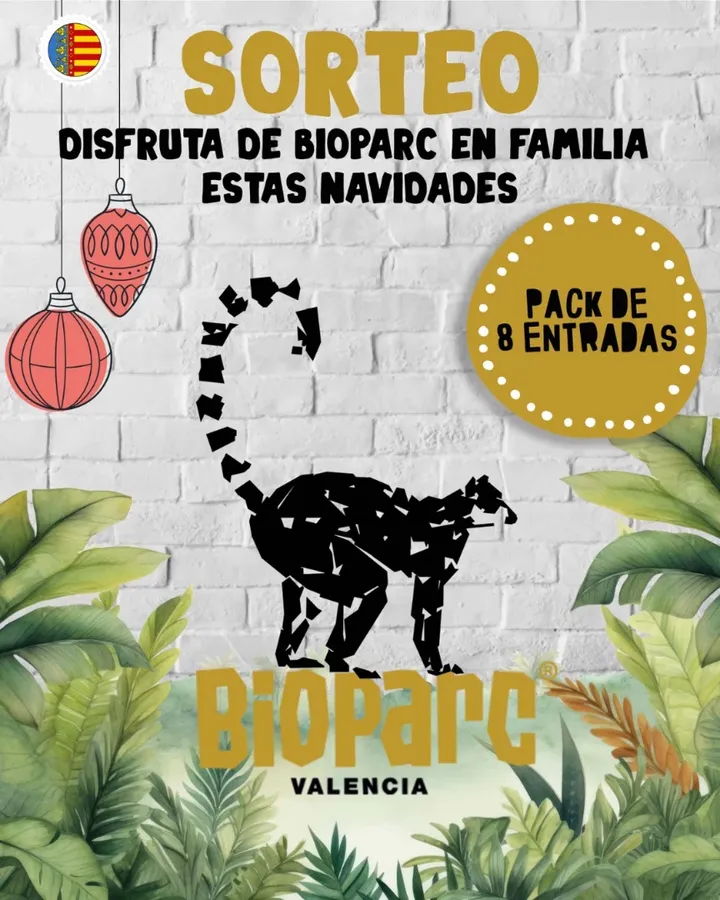 Imagen de 🎄🦒 ¡APÚNTATE EN NOVIEMBRE SIN DUDAR… QUE EN NAVIDA