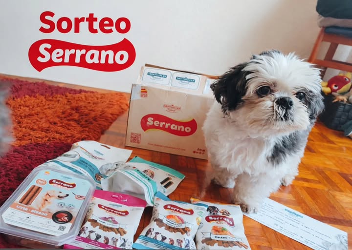 Imagen de 🎉🐾 SORTEO SERRANO 🐾🎉

¡Atención amantes de los