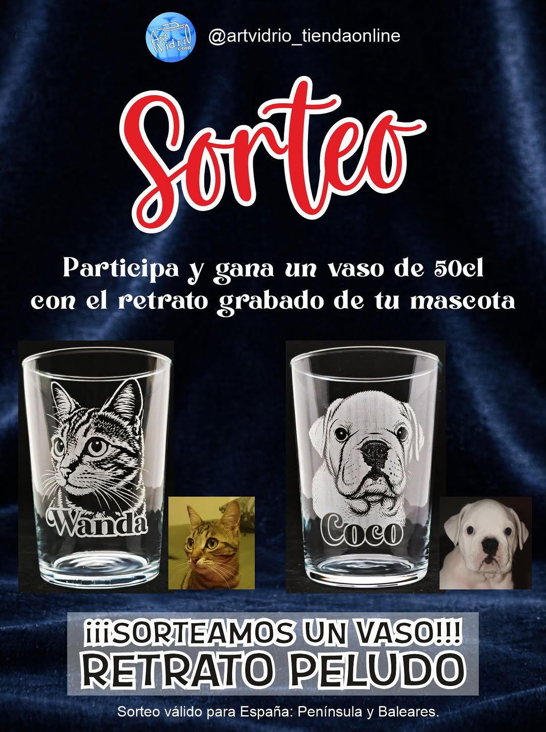 Imagen de 🎉 
🎉¡SORTEO RETRATO PELUDO! 🐶🐱

¿Te gustaría 