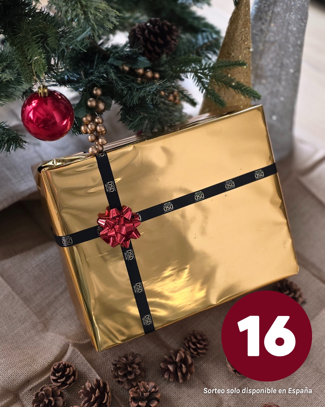 Imagen de 🎁 ¡SORTEO CALENDARIO DE ADVIENTO – DÍA 16! 🎄✨

H