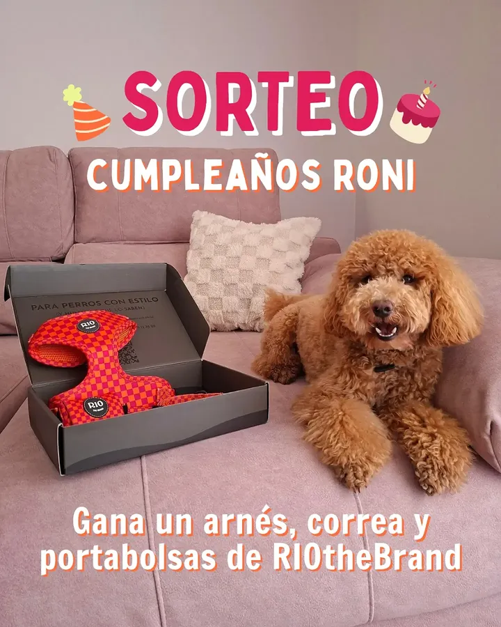 Imagen de 🎉SORTEO ESPECIAL CUMPLEAÑOS🎉

Falta muy poquito para 