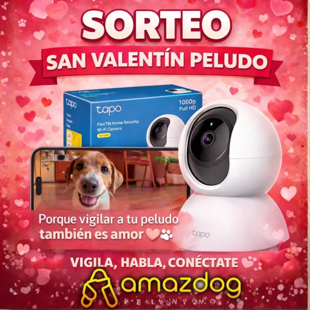 Imagen de 💘🐾 SORTEO SAN VALENTÍN PELUDO 🐾💘

Porque el amo