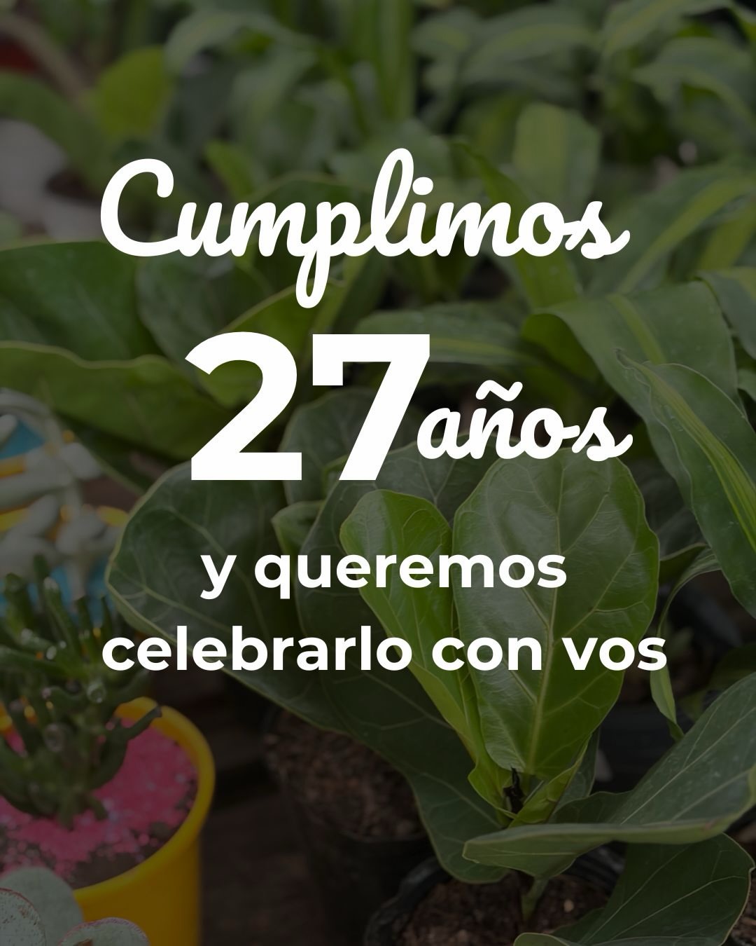 Imagen de 🌿✨ ¡ESTAMOS DE FESTEJO! ✨🌿
En Vivero HIGA cumplim