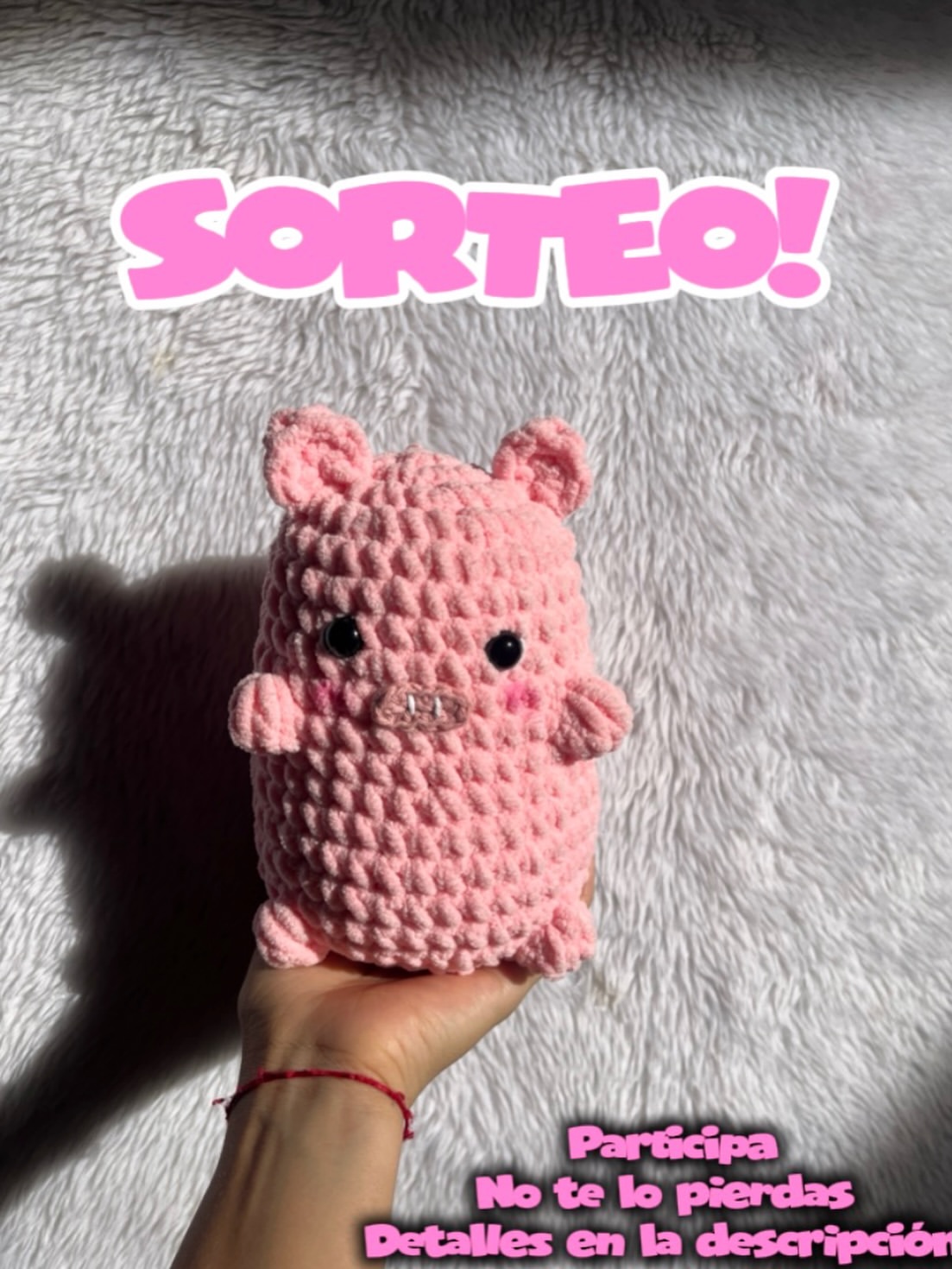 Imagen de 🎉✨ ¡SORTEO! ✨🎉

GÁNATE ESTE CHANCHITO A CHENILLE