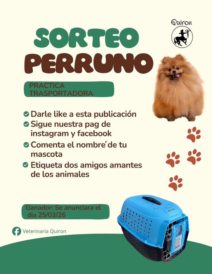 Imagen de 🐾 ¡SORTEO PERRUNO! 🐾

¿Te gustaría llevar a tu lomi