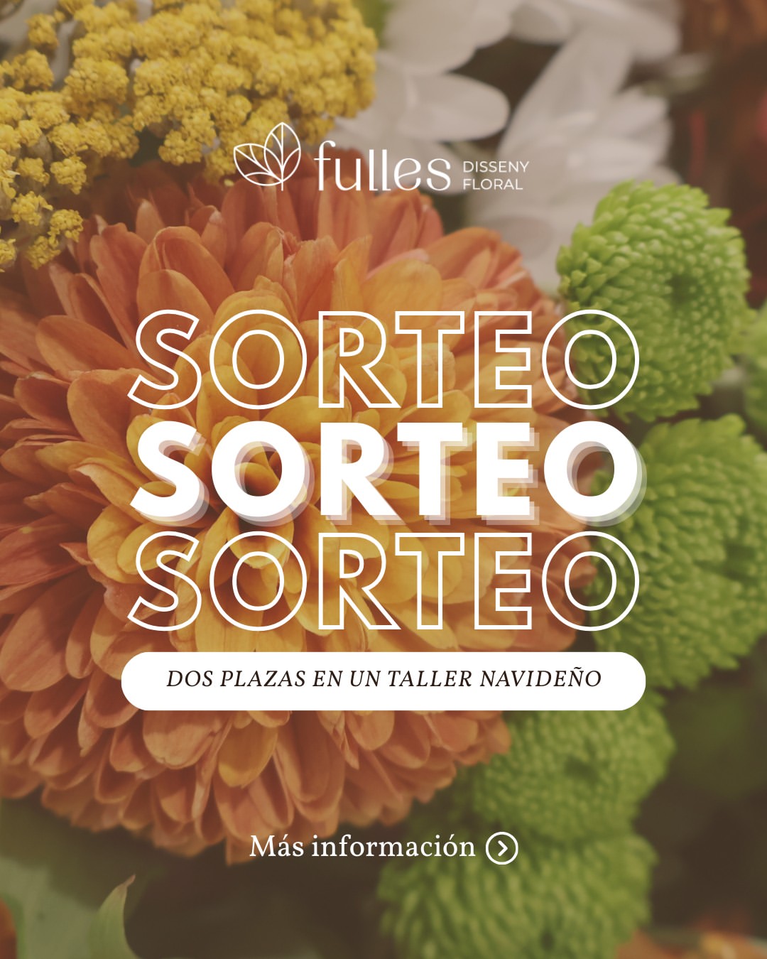 Imagen de Empezamos el lunes con mucha energía... ¡y con un regalo e